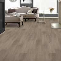 Living room with a gray sofa and wooden flooring